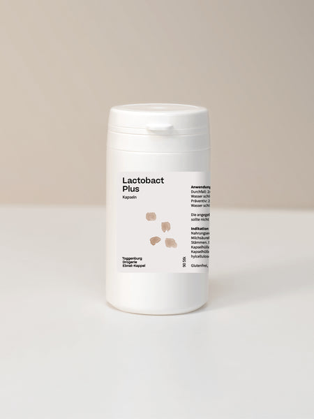 Lactobact Plus Kapseln